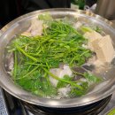 대구탕 | 공덕 마포 직장인 추천 맛집 서울큰입탕ㅣ술 먹으면서 해장하기 좋은 내돈내산 대구탕 후기