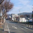 황가 | 경주맛집 가족 외식으로 다녀온 황가정 산더미 오리 후기