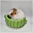 펫엔글라이더 이미지