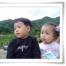 세영붕어빵 네이버블로그