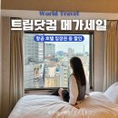 트립닷컴 메가세일 5월 할인코드 항공 호텔 티켓 정보