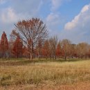 팔당물안개공원 이미지