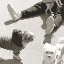 멍슈슈(Mungchouchou) 네이버블로그