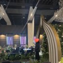 호텔M타워 | 군산 vs 대구 어디서 결혼할까? 💍 대구 웨딩홀 투어 후기 | 퀸벨호텔, M스타하우스, 노비아갈라