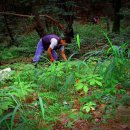 재섭농장 이미지