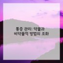 바른자세스트레칭 이미지