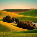 하루하루 이미지