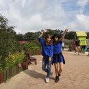 캡틴제주 이미지