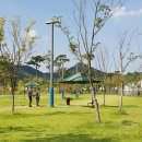 세종중앙공원 이미지