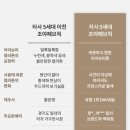 조야 | 먼데이하우스 침대 클라우드 라운드타입 조야 패브릭 내돈내산 솔직 사용 후기