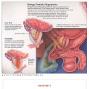 대진메디칼 이미지