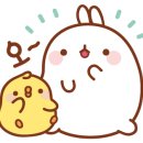 진솔미코리아 이미지