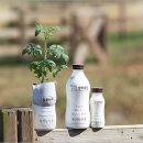 수상목장 이미지