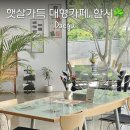 154-1-000018 | 나만 알고싶은 대구 칠곡 신상 브런치 대형카페 한시, 초록빛 정원과 햇살이 예뻤던 후기