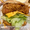 웰덤치킨 | 상봉 맛집 웰덤 치킨 리뷰