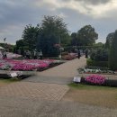 공원플라워 이미지