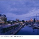 (주)넥스투어 노컷뉴스