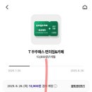 T우주정기