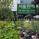 양재화훼단지 서울원예종묘 꽃화분 나무 종류 가격 양재꽃시장 내돈내산 구매후기