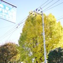 득량면행정복지센터 이미지