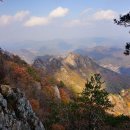 역전농약사 이미지