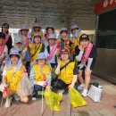 용성초교 이미지