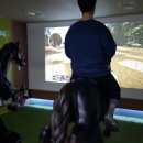 안산승마클럽 이미지