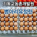 기독교농촌개발원 네이버블로그
