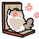 키멍 이미지