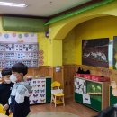 곤충박물관 티스토리
