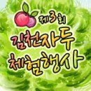 자두네일 이미지
