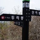 개금약초 이미지