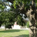 수민할머니경로당 이미지