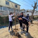 고전면생활체육공원 이미지