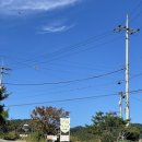 제이앤제이그루밍 | 강원도 홍천 비발디파크 근처 야외 정원이 예쁜 카페 쿠실