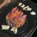 [내돈내산 강화도 벚꽃여행 숙소 추천] 청결하고 감성적인 강화 에코 스파펜션&amp;글램핑 후기 🏡