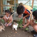 두학초등학교 이미지