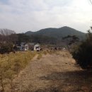 충남 태안의 예쁜집 - 급매 1억2천만 300평 이미지
