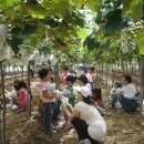 화동중화로 이미지