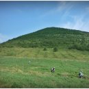 올레목장 이미지