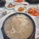 예쁜금송꽃