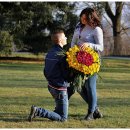 보라 카카오 검색결과