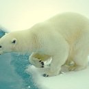 강가네칼국수 이미지