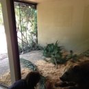 캔버라호텔 옆 이미지