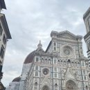 로마노피자남부점 | 이탈리아 자유여행 3일차, 피렌체에서 로마 이동-콜로세움-포로로마노-팔라티노 언덕-트레비 분수 후기