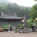 장안동 백자가마터 이미지