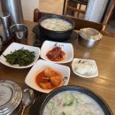 돈수백 이미지