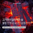 자연이 준 숯이야기 | 에코카보닝 대나무숯 추천! 불똥안튀는숯으로 즐긴 캠핑바베큐