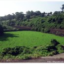 소금밭 교차로 4 이미지