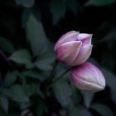 도봉도서관 이미지